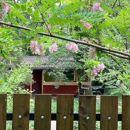 Cinke Cottage, Nest In Nature Verőcemaros Bagian luar foto