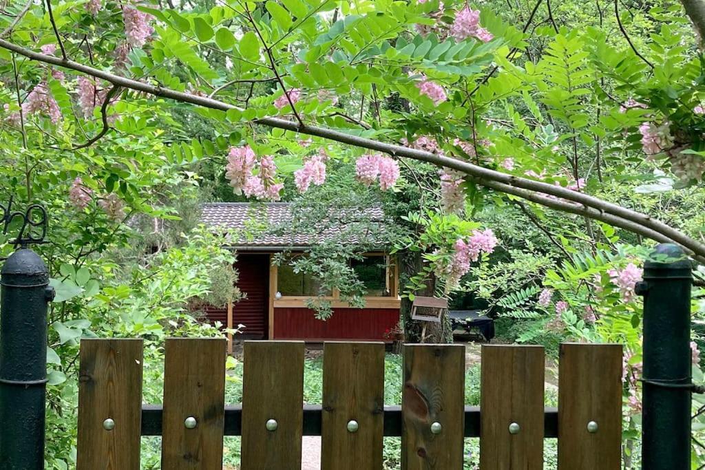 Cinke Cottage, Nest In Nature Verőcemaros Bagian luar foto