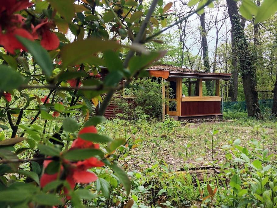 Cinke Cottage, Nest In Nature Verőcemaros Bagian luar foto